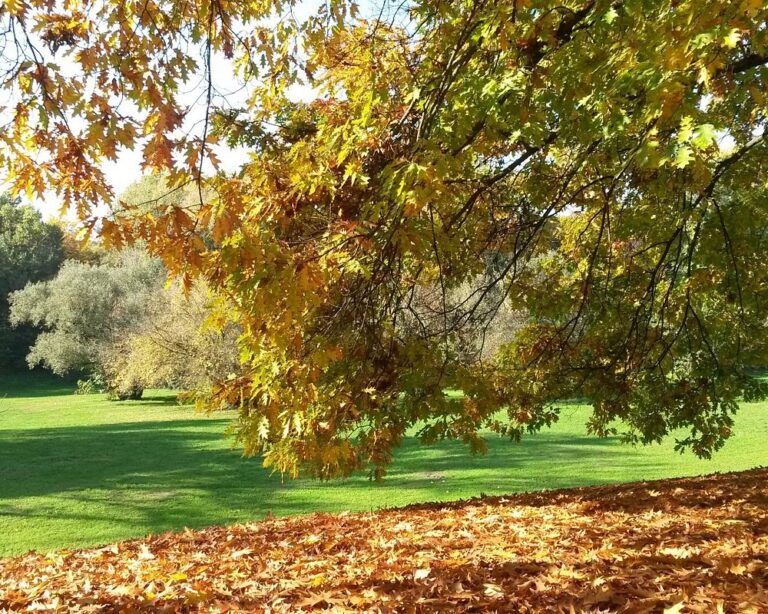 parco-lambro